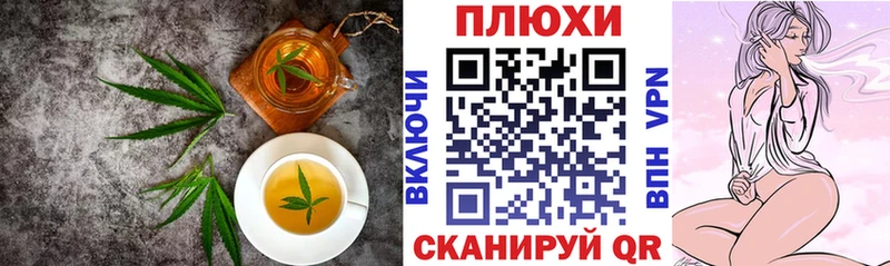 Canna-Cookies марихуана  Луга 