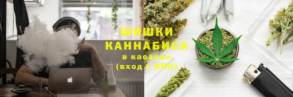 гидра Абаза