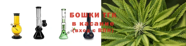 гидра Абаза