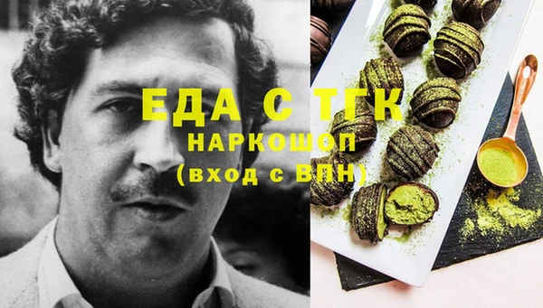 гидра Абаза