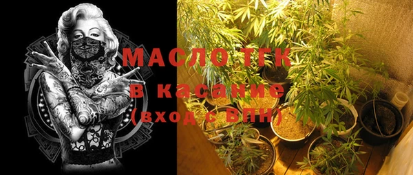гидра Абаза