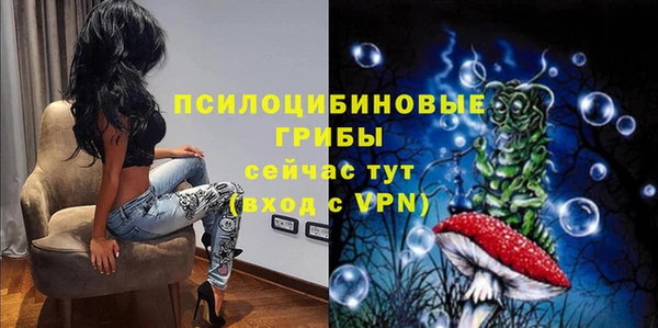гидра Абаза