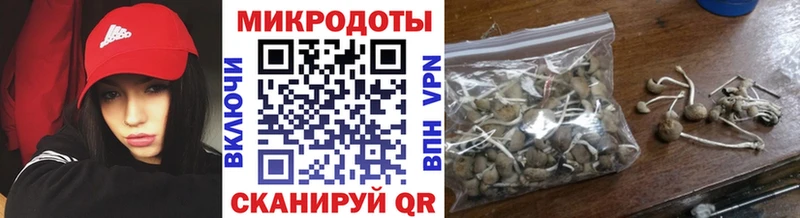 Галлюциногенные грибы GOLDEN TEACHER  Луга 